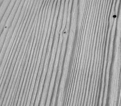 Area after being sanded with the plastic bristles of the rustilon brush.